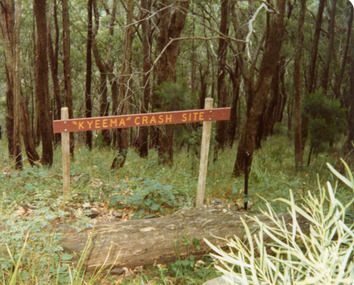Photograph, Sign Indicating Kyeema Crash Site 1988, 1988