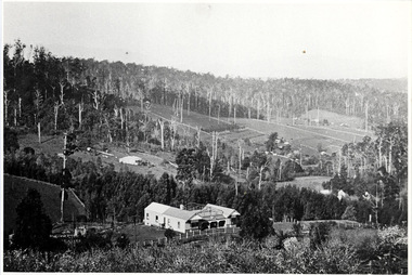 Photograph, The Settlement of Harmony Vale 1913, 1913