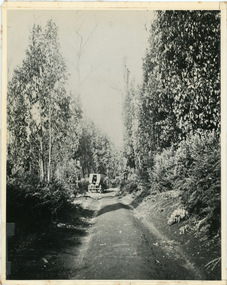 Photograph, Jeeves Coach on CRB Road at Foot of Farringdon Road Kalorama, 1920, 1920