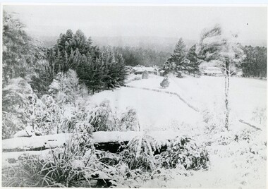 Photograph, A View Over Mountain Grange 1921, 1921