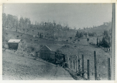 Photograph, View From George Barber's Home On Olinda Creek Towards The Gap. c1905, 1905