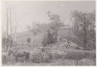 Photograph, The Busy Corner, 1907