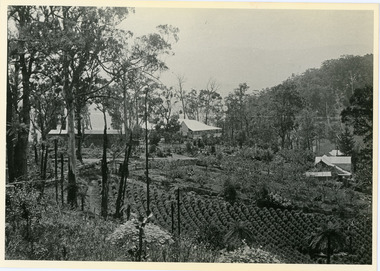 Photograph, 1908 View of Kalorama Gap From the Main Road, 1908