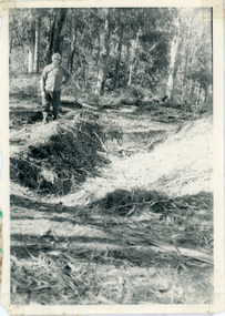 Photograph, Pit Silo 1974 view, 1974
