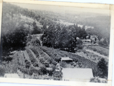 Photograph, 1913 View Over Logan's House in Village Settlement, 1913