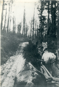Photograph, View From Seat of Jeeves Coach, c1921