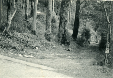Photograph, The Wagon Road, c1970s