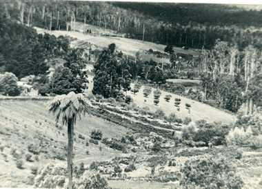 Photograph, The Valley of the Harmony Vale Settlement c1910, 1973