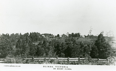 Photograph, On Mount Olinda, c1920s