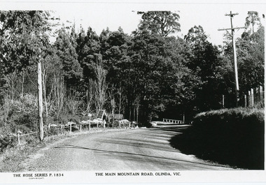 Photograph, The Main Mountain Road, Olinda, c1950s