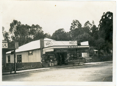 Photograph, Gill's Store Olinda, late 1920s
