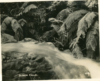 Photograph, Olinda Falls, late 1930s