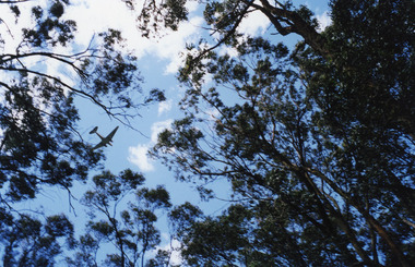 Photograph, DC-3 Fly-over At 60th Anniversary Of Kyeema Crash in 1998, 1998