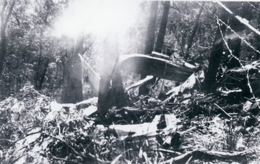Photograph, Kyeema Crash Wreckage 1938, 1938