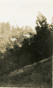 Photograph, Quamby Cottage