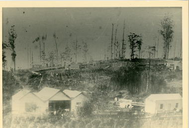 Photograph, Dodd's Store Olinda