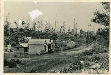Photograph, Main Street Olinda c1908