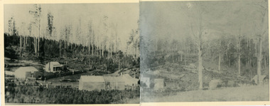 Photograph, Panorama of Olinda 1904 Sections 3 & 4