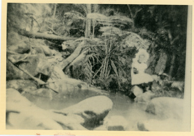 Photograph, Jessie Wyles at Emerald Creek