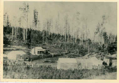 Photograph, Olinda 1903