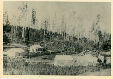 Photograph, Olinda 1903