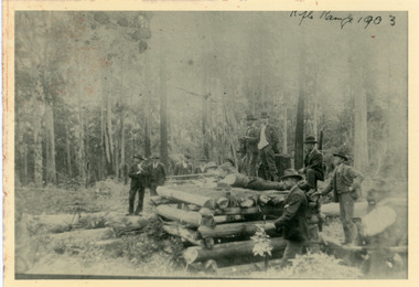 Photograph, Olinda Rifle Range 1903