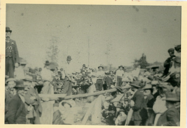 Photograph, Wood Chop Olinda 1909