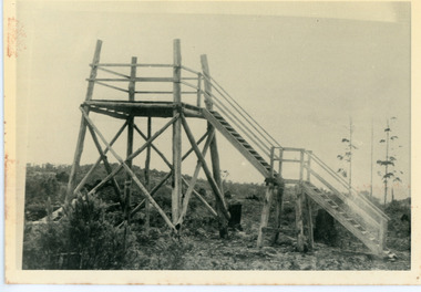 Photograph, Lookout On Top of Mount Olinda 1910, c1910