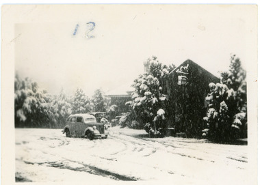 Photograph, Snow at Olinda c1950, c1950
