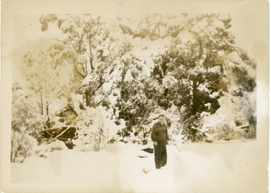 Photograph, Snow Scene Olinda c1950, c1950