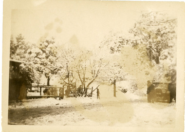 Photograph, Snow Scene at Olinda c1950, c1950
