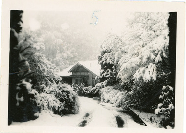 Photograph, House in Snow at Olinda c1950, c1950