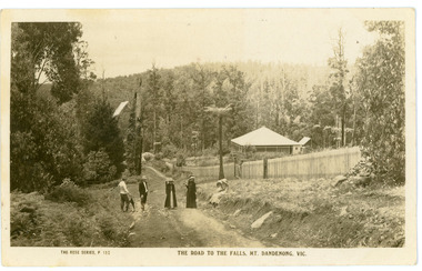 Photograph, The Road To The Falls Mt. Dandenong. Vic, early 1900s