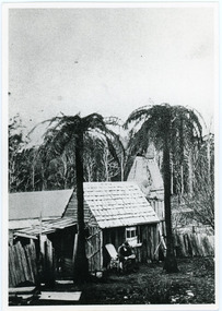 Photograph, Worker's Hut