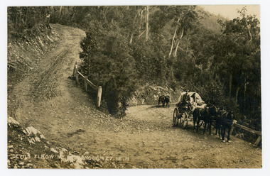 Photograph, Devils Elbow Mt Dandenong 27.12.1911, 1911