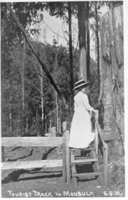 Photograph, Tourist Track To Monbulk, c1917