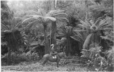 Photograph, Mrs Aeneas Gunn On Horseback