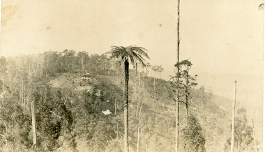 Photograph, View of 'RangeView' Nursery, Olinda
