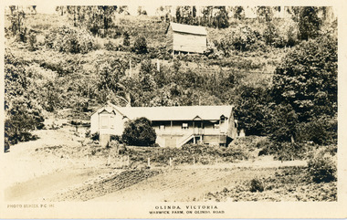 Photograph, Warwick Farm On Olinda Road