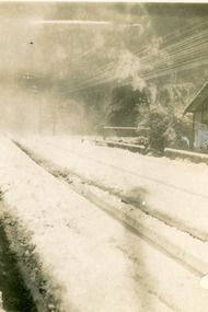 Photograph, Snow at Olinda 1921, 1921