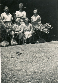Photograph, Workers at Range View Nursery, 1950s