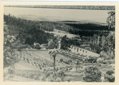 Photograph, Harmony Vale, c1913