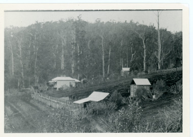 Photograph, George Barber's Home Forest Edge after 1912 Looking South West, c1912