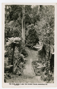 Photograph, The Tourist Track, Sassafras. Vic, c1920