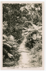 Photograph, The Tourist Track, Sassafras.Vic, c1920