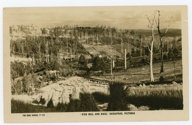 Photograph, 'O'er Hill and Dale,' Sassafras. Victoria, c1920