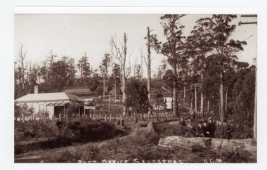 Photograph, Post Office Sassafras, c1930s