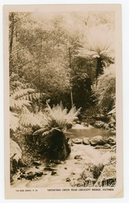 Photograph, Sassafras Creek Near Crescent Bridge. Victoria