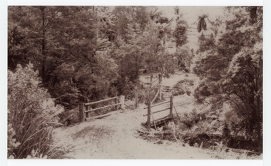 Photograph, The Crescent Bridge, Sassafras