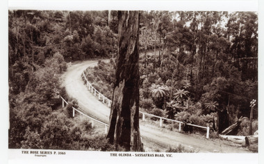 Photograph, The Olinda-Sassafras Road, Vic